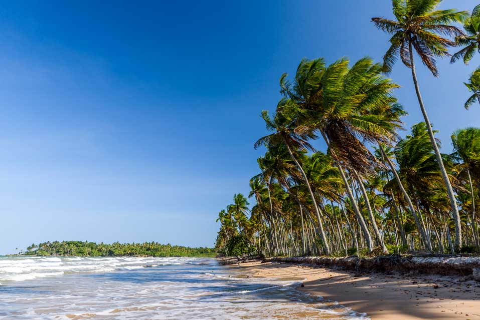 imagem das praias da bahia