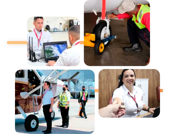 equipe-extremamente-qualificada