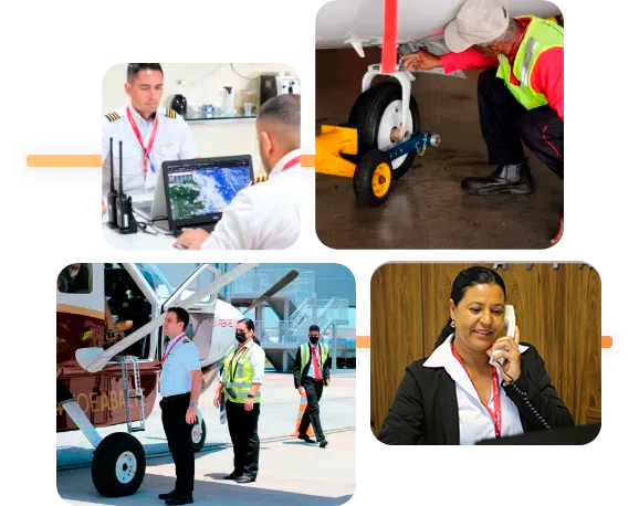 equipe-extremamente-qualificada